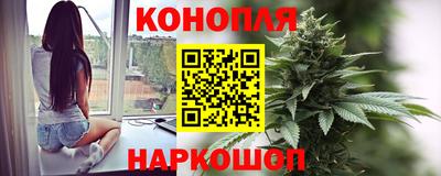эйфоретик Малгобек