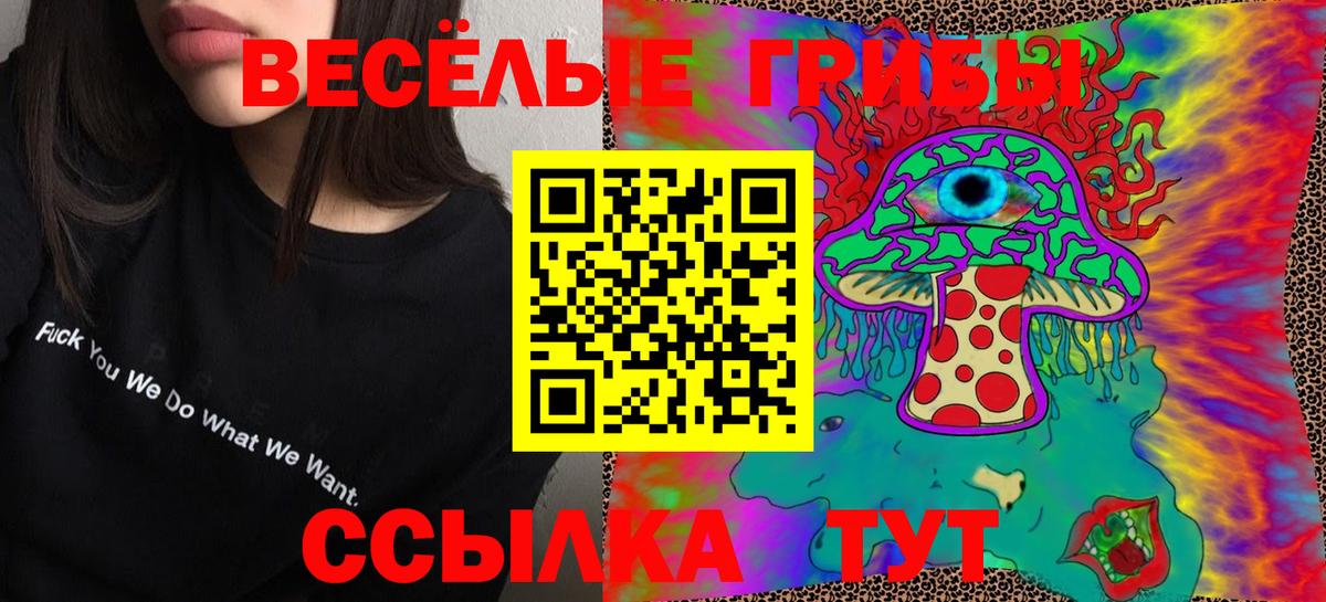 Галлюциногенные грибы мицелий  Галлюциногенные грибы Psilocybine cubensis  Тамбов  Вход с VPN 