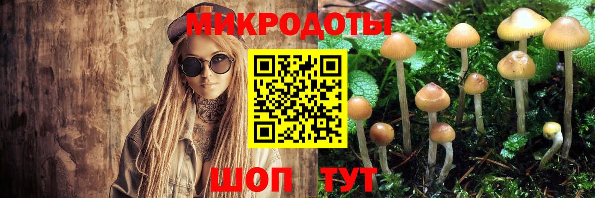 Псилоцибиновые грибы Psilocybine cubensis Тамбов