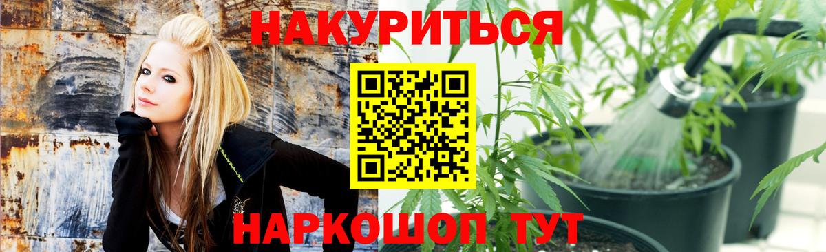 Тамбов  Бошки марихуана Bruce Banner  Бошки марихуана VHQ  Марихуана AK-47  Вход с VPN  МАРИХУАНА LSD WEED 